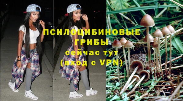 Альфа ПВП Алексин